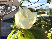 f469b834-viber image3a3a.jpg